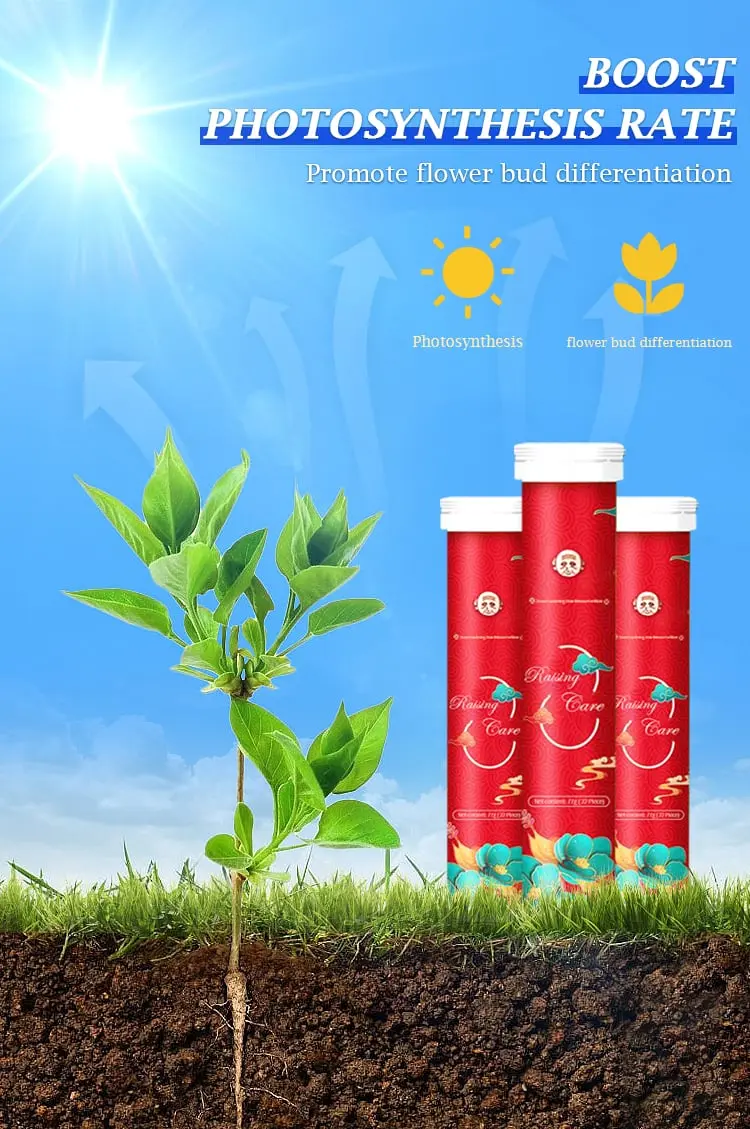Healthy green plant