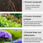 Home Gardening Universal Slow