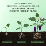 Home Gardening Universal Slow
