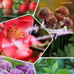 Home Gardening Universal Slow