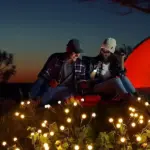 Solar Powered Firefly Garden Light