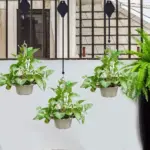 Plant Pulley Set For Garden Baskets