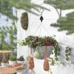 Plant Pulley Set For Garden Baskets