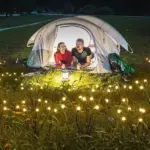 Luminous Solar-Powered Firefly Garden Decoration Light