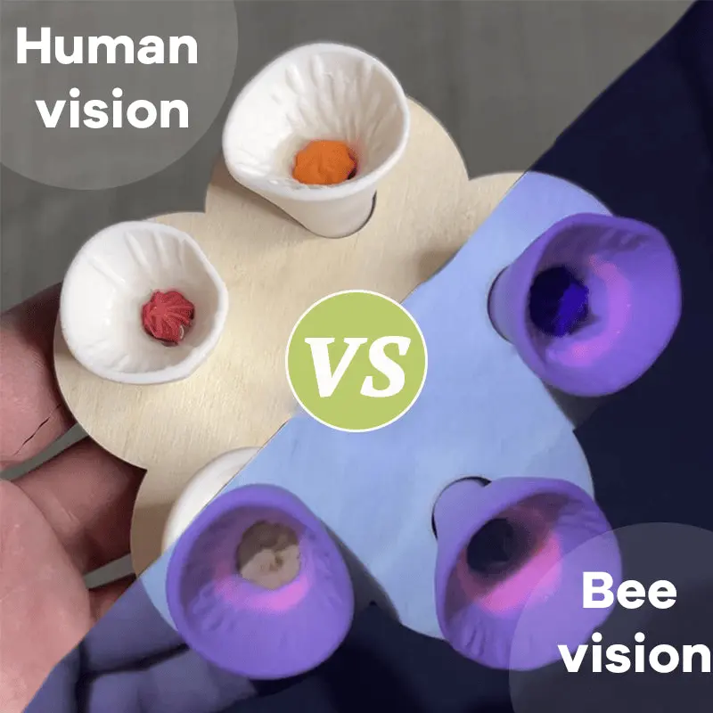 Gift of bee garden accessory