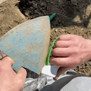 Gardening tools in action
