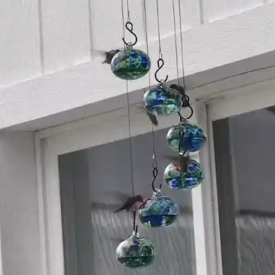 Hummingbird feeding animation